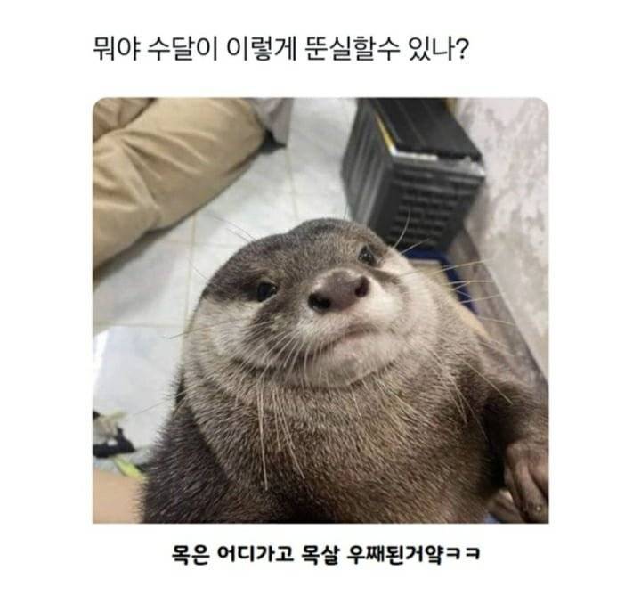 20260819154212_xeSahhh5xx.jpg