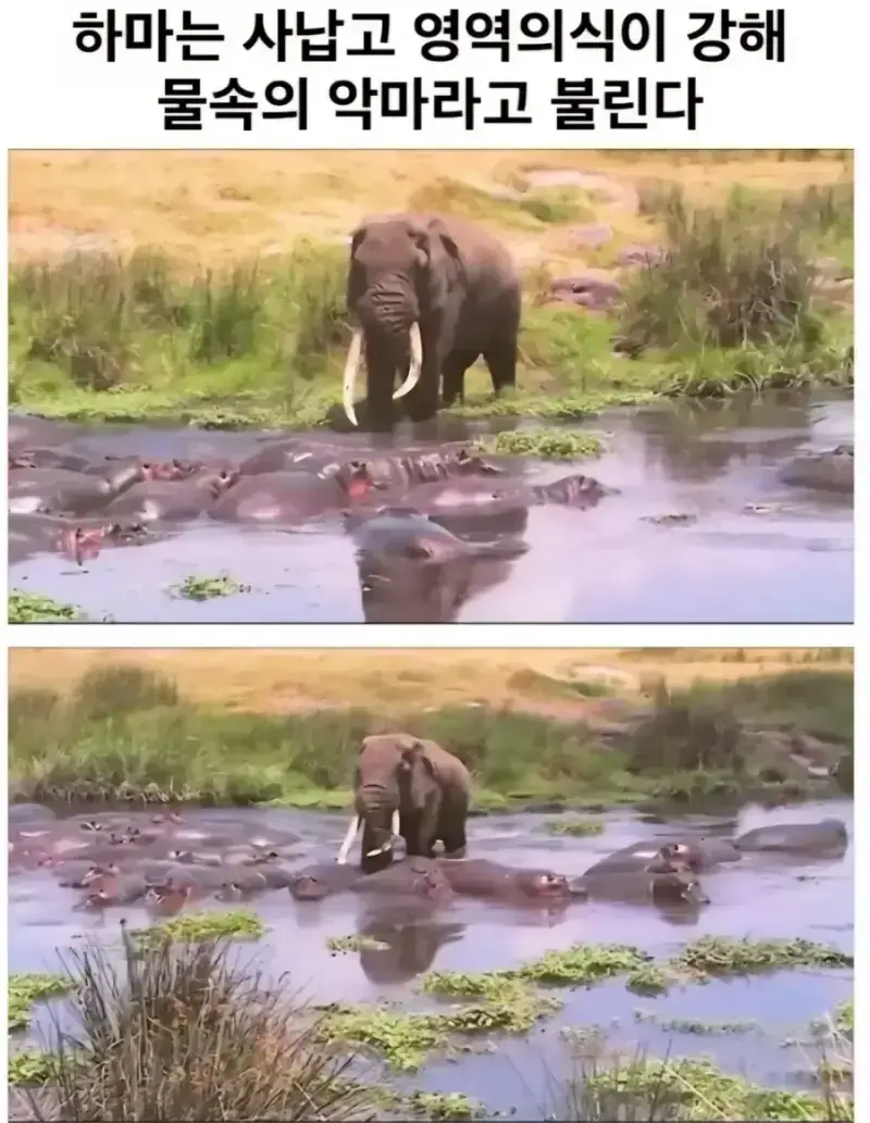 20260908093907_XlmOKZHPLd.webp