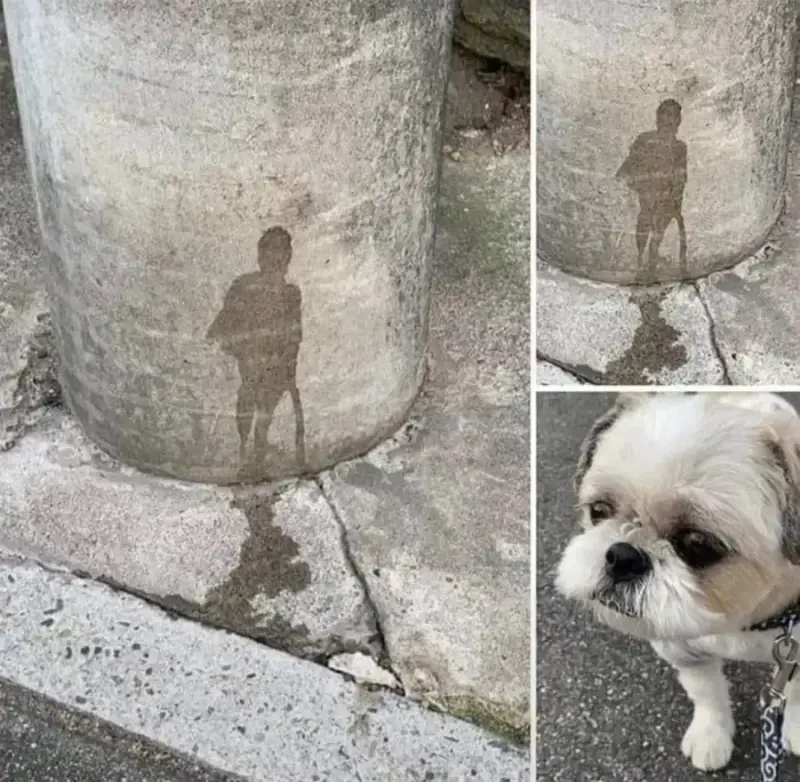 20261001164003_voo4woNDT1.webp