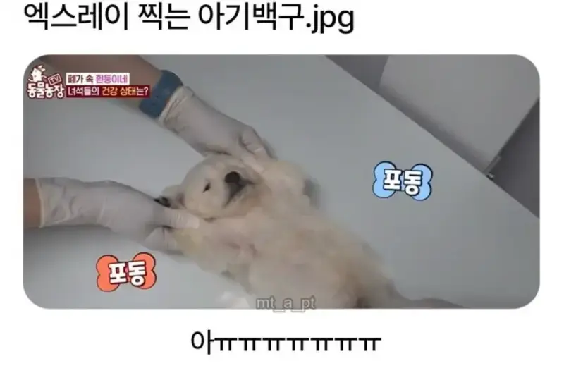 20261007142033_nkN0LazY3X.jpg