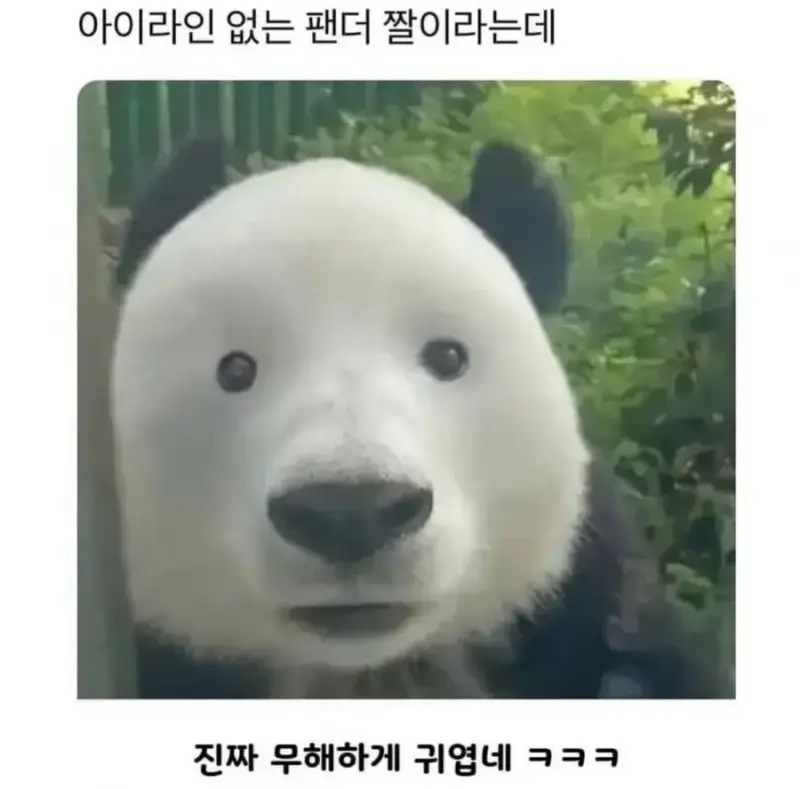 20261008095557_hGYUapm4d9.jpg