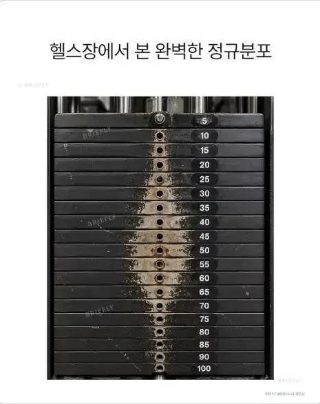 20261014154942_MxFy5PDxS3.webp