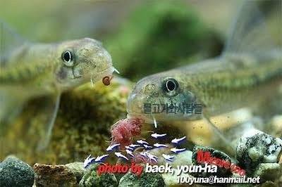20261022192803_bOhiaUoRLM.jpg