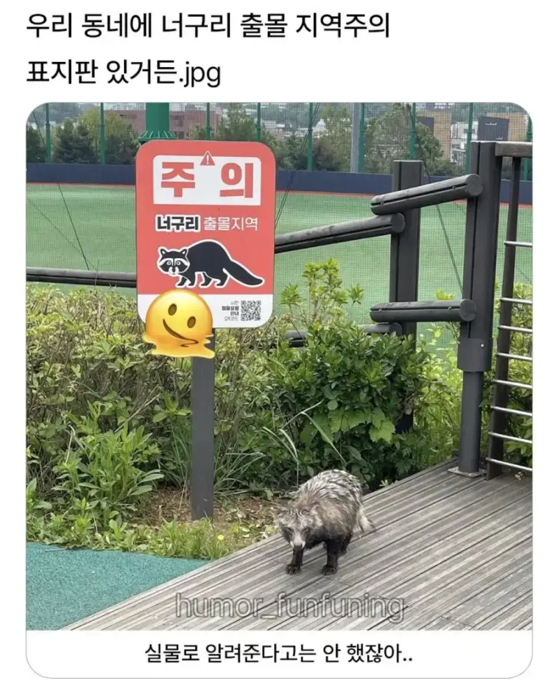 20261026151719_KD4tLqDomg.jpg