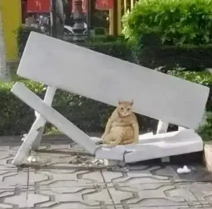 20261029154038_mLOmSOyIwG.png