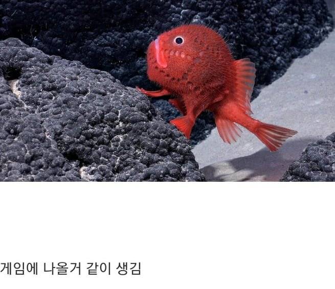 20260723160018_X9L0gkPXtw.jpg