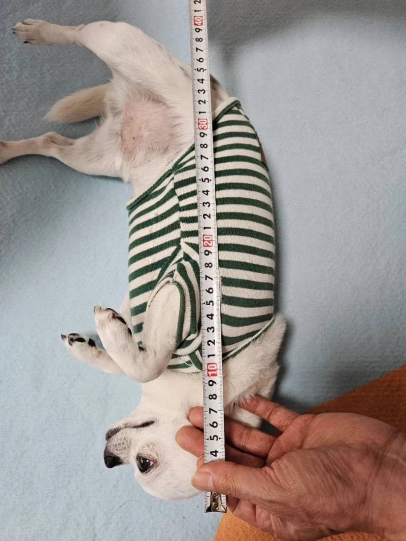 20260727182349_DGBWEUcxRt.png