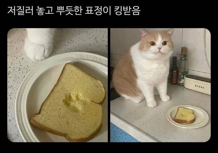20260803160739_jRRwWAuVhv.jpg