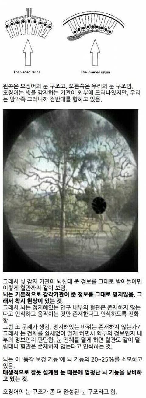 6k9oTO7c6AAIuEOQIYo8Us.jpg