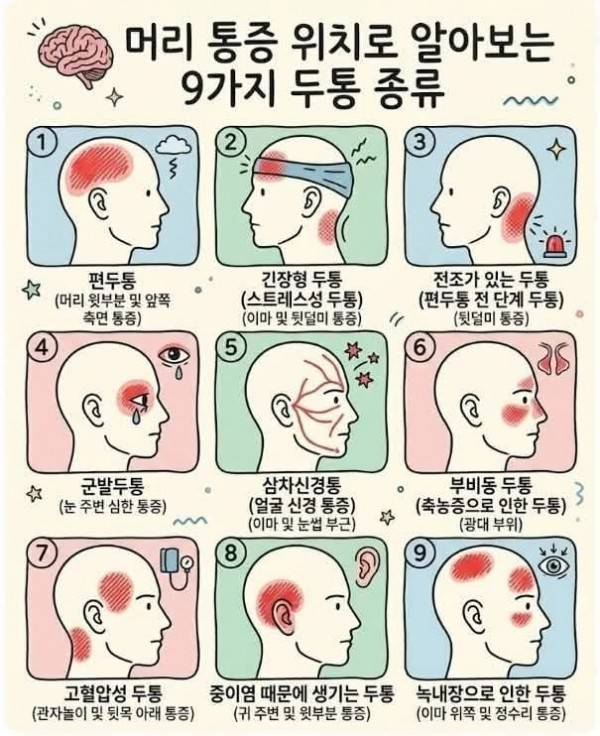 건강