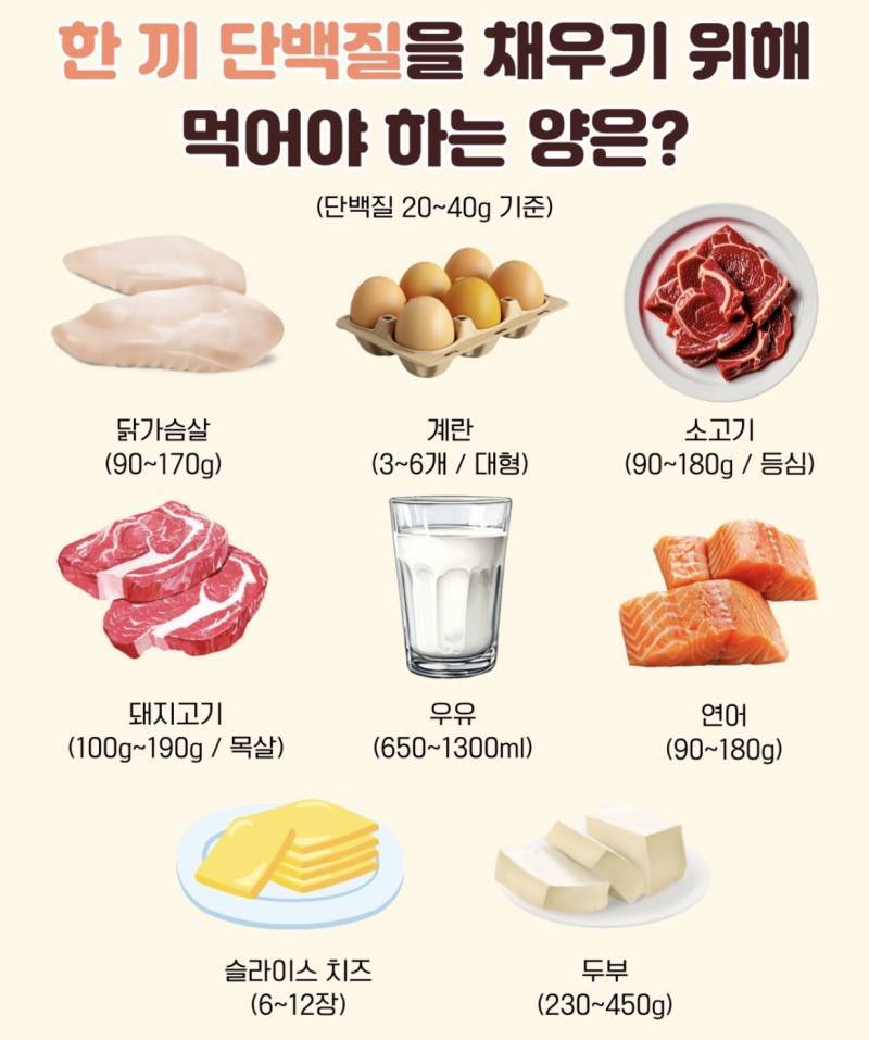 나는 하루에 적정량 단백질을 섭취하고 있을까? (식단 점검하기)의 내용을 보여주는 이미지 관련 이미지 3