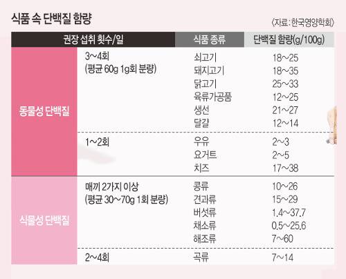 나는 하루에 적정량 단백질을 섭취하고 있을까? (식단 점검하기)의 내용을 보여주는 이미지 관련 이미지 5