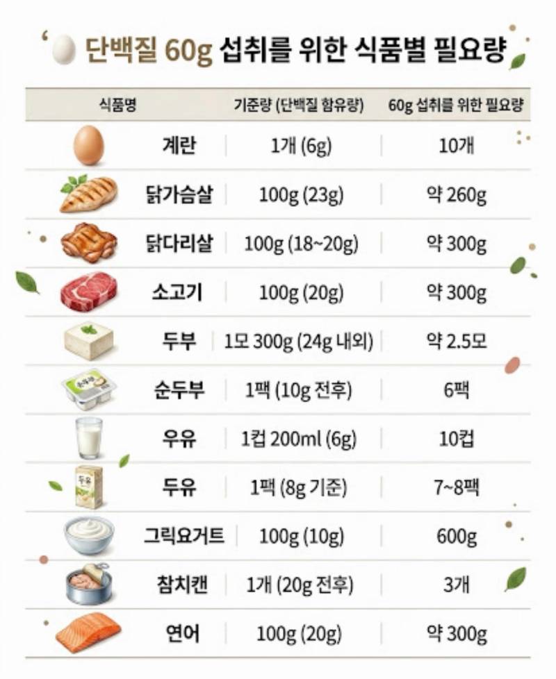 나는 하루에 적정량 단백질을 섭취하고 있을까? (식단 점검하기)의 내용을 보여주는 이미지 관련 이미지 6