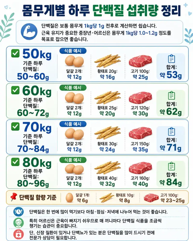 나는 하루에 적정량 단백질을 섭취하고 있을까? (식단 점검하기)의 내용을 보여주는 이미지 관련 이미지 8