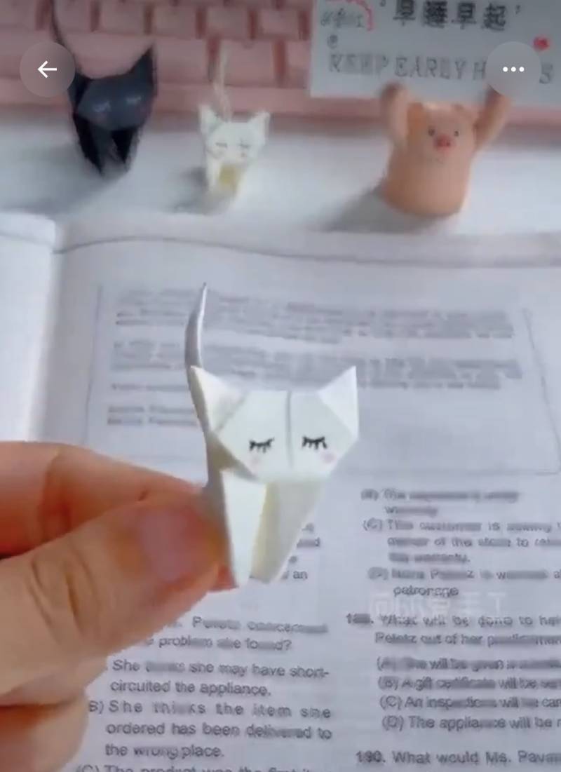 새끼 고양이 접기의 내용을 보여주는 이미지
