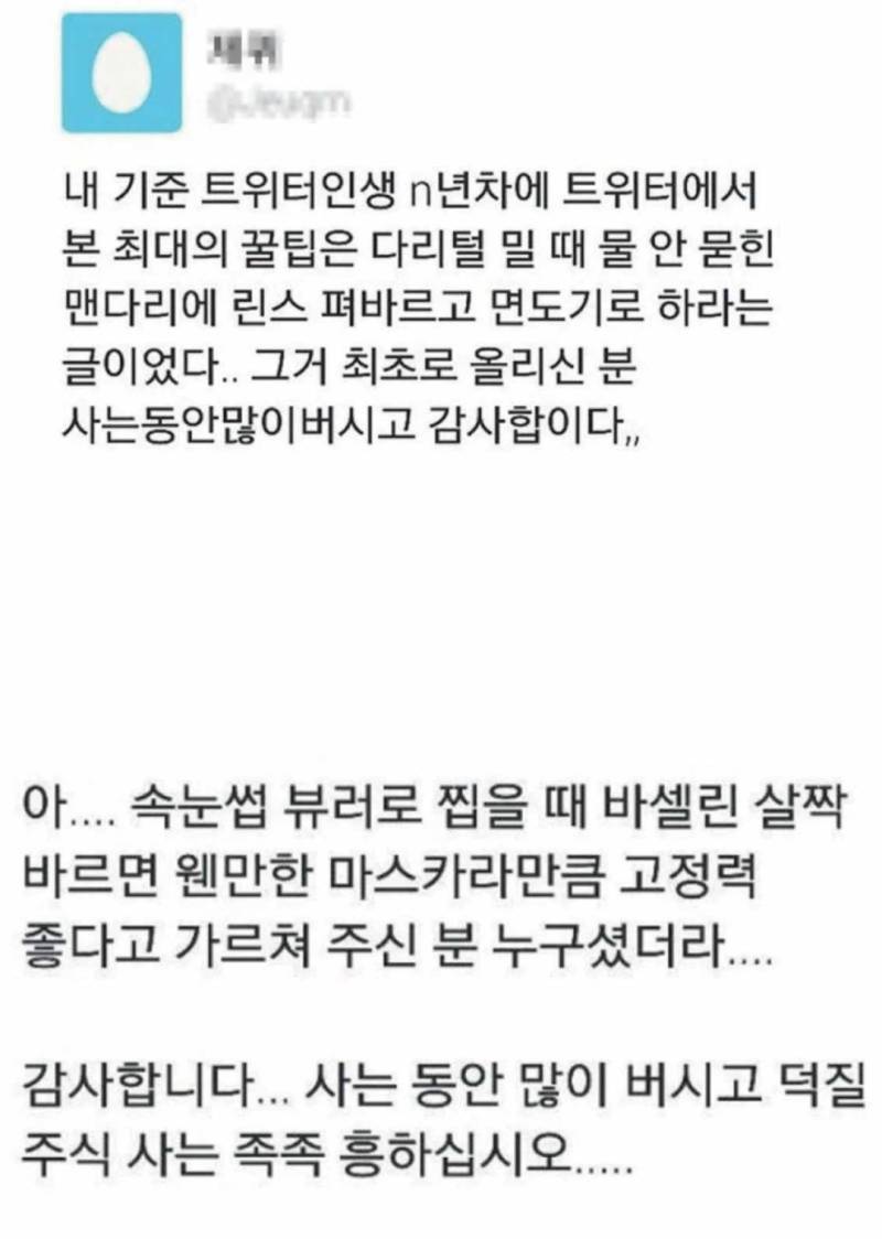 1300명 꿀팁-해초임 노클릭 노댓글-해초뺌의 내용을 보여주는 이미지 관련 이미지 3