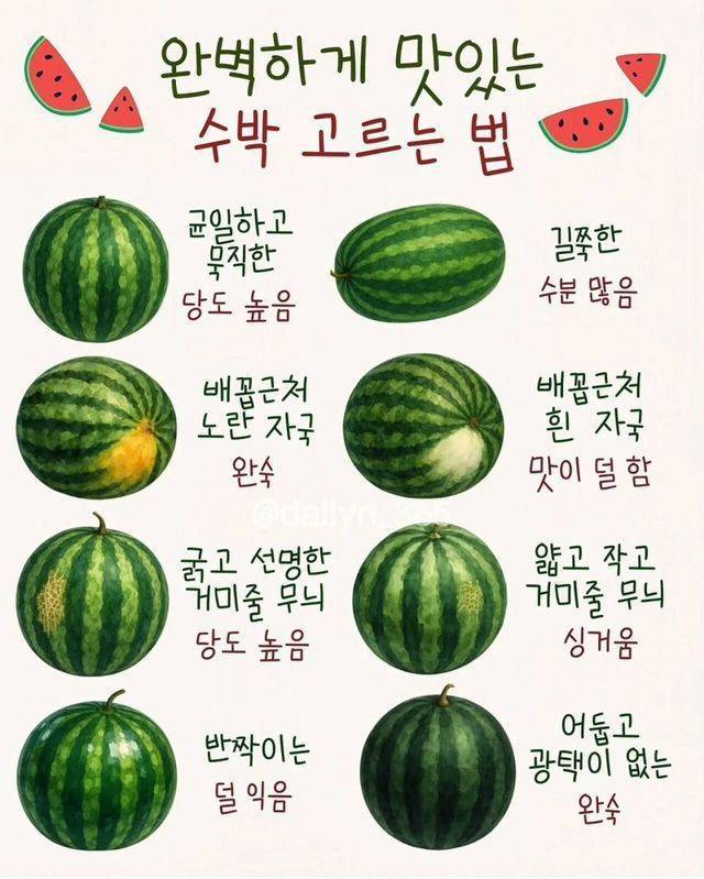 맛있는 수박 고르는 법의 내용을 보여주는 이미지