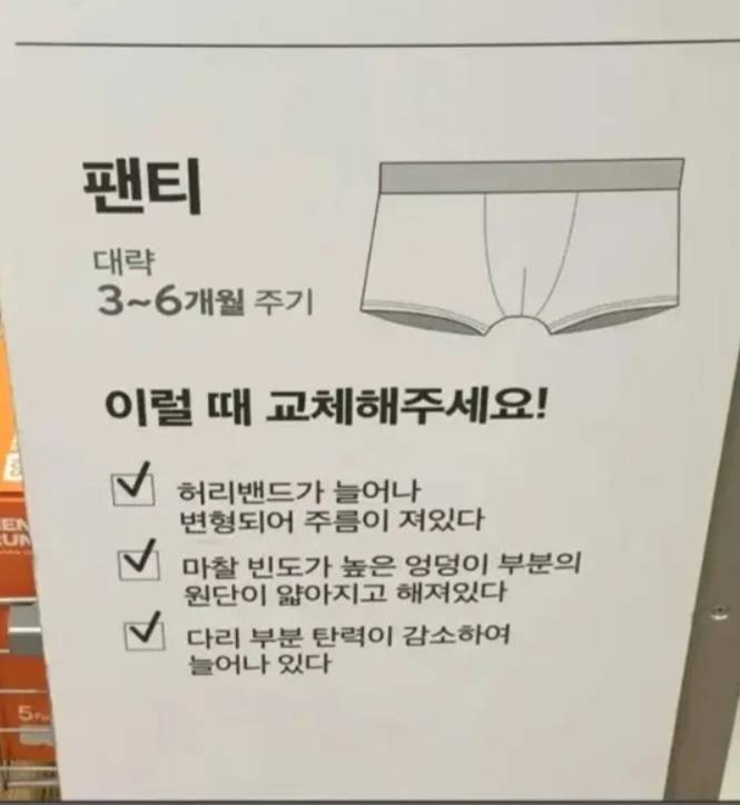팬티 교체 주기의 내용을 보여주는 이미지
