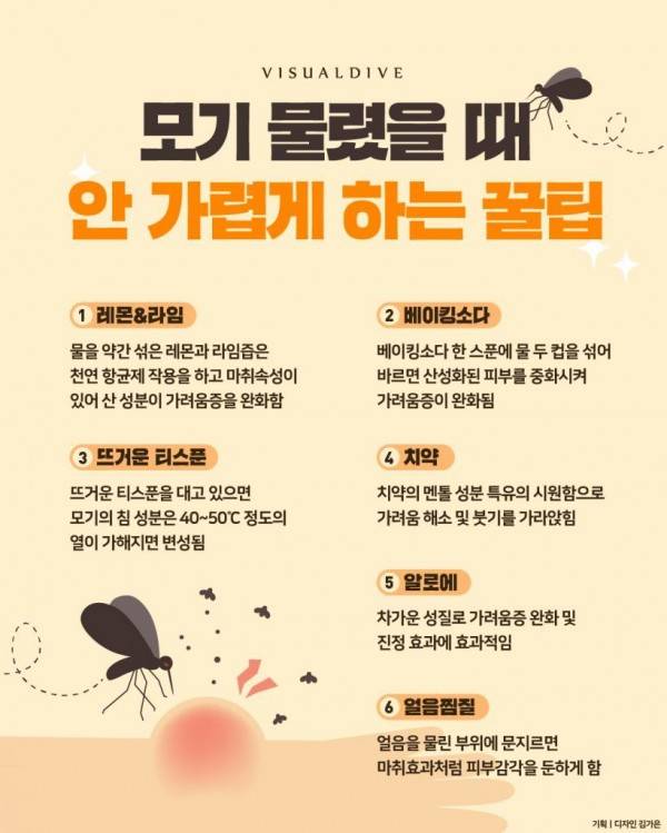 모기 물렸을 때 안 가렵게 하는 꿀팁의 내용을 보여주는 이미지
