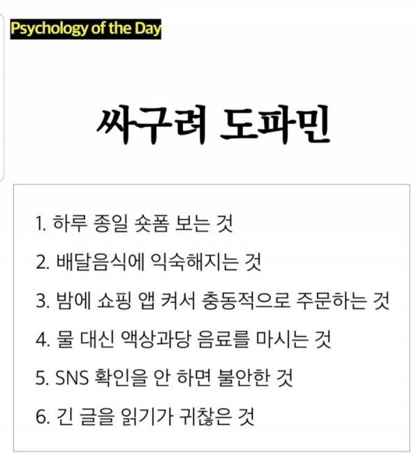 싸구려 도파민과 건강한 도파민의 차이의 내용을 보여주는 이미지