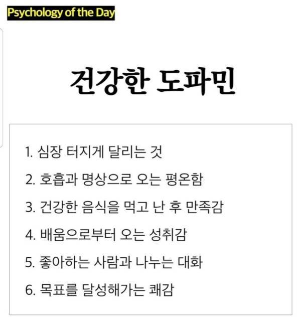 싸구려 도파민과 건강한 도파민의 차이의 내용을 보여주는 이미지 관련 이미지 2