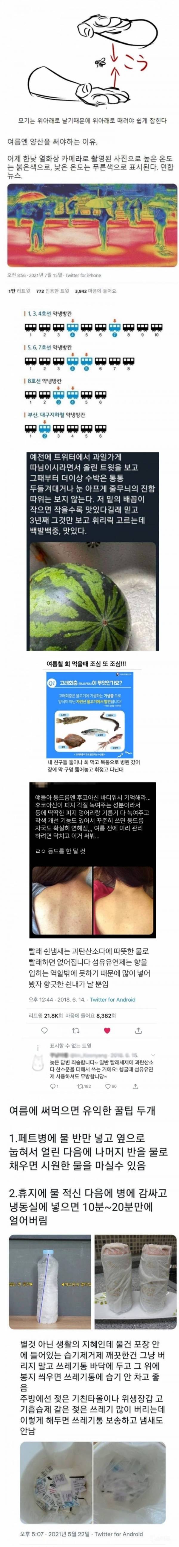 여름 싫은사람 모여랏 | 인스티즈