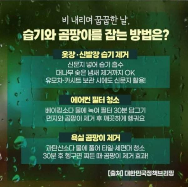 습기와 곰팡이를 잡는 방법 | 인스티즈