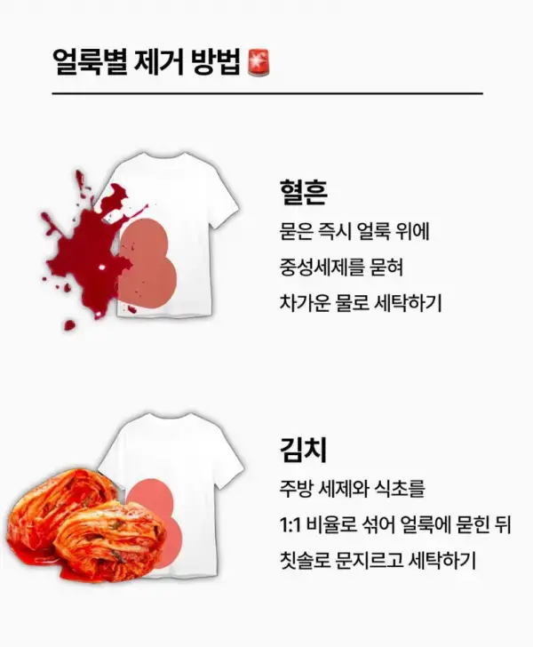 의류 얼룩별 제거 방법 | 인스티즈