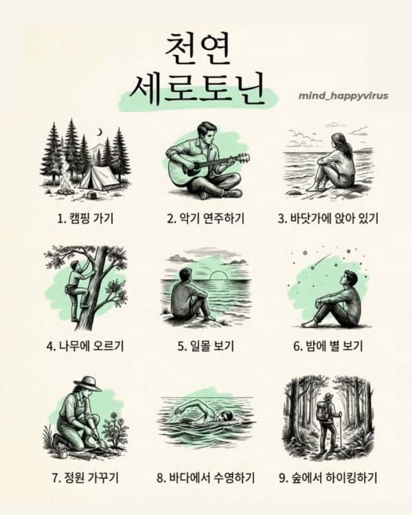 천연 호르몬 생성 방법의 내용을 보여주는 이미지