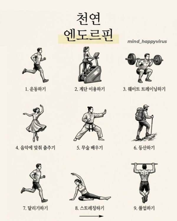 천연 호르몬 생성 방법의 내용을 보여주는 이미지 관련 이미지 2