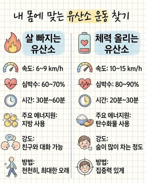내 몸에 맞는 유산소 운동 찾기의 내용을 보여주는 이미지