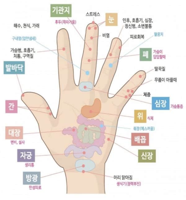 손지압 건강법의 내용을 보여주는 이미지