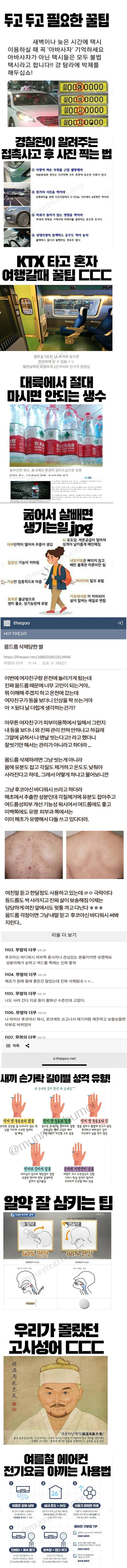 두고두고 써먹는 꿀팁 짤털의 내용을 보여주는 이미지