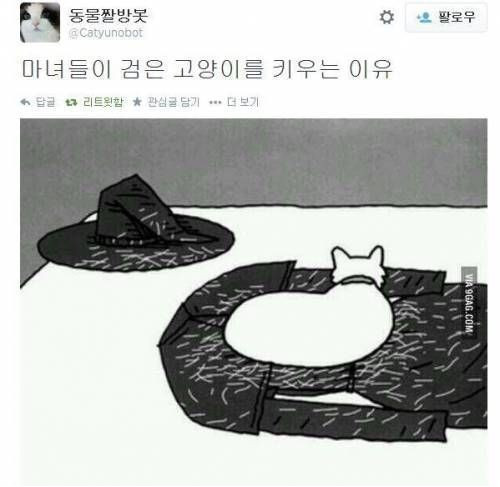 16994305919329 16994305919329.jpg