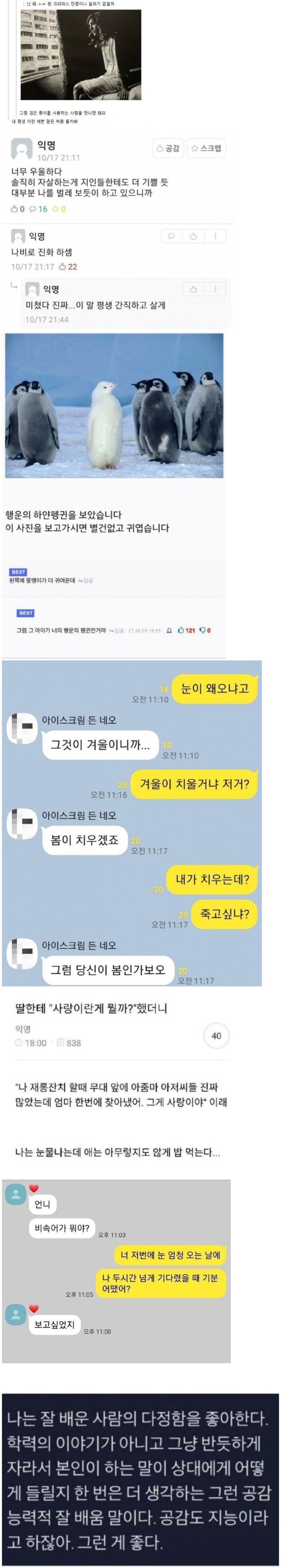 혐오에 지친 커뮤에 따뜻하고 다정한 말 한마디.jpg