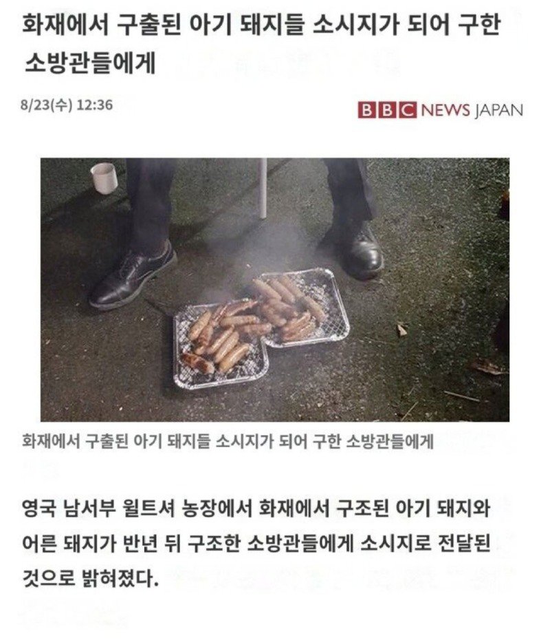 몸으로 갚겠습니다.JPG