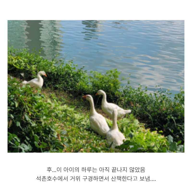 KakaoTalk_20231201_172617970_05.png