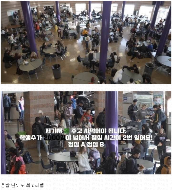 16973091763298.png