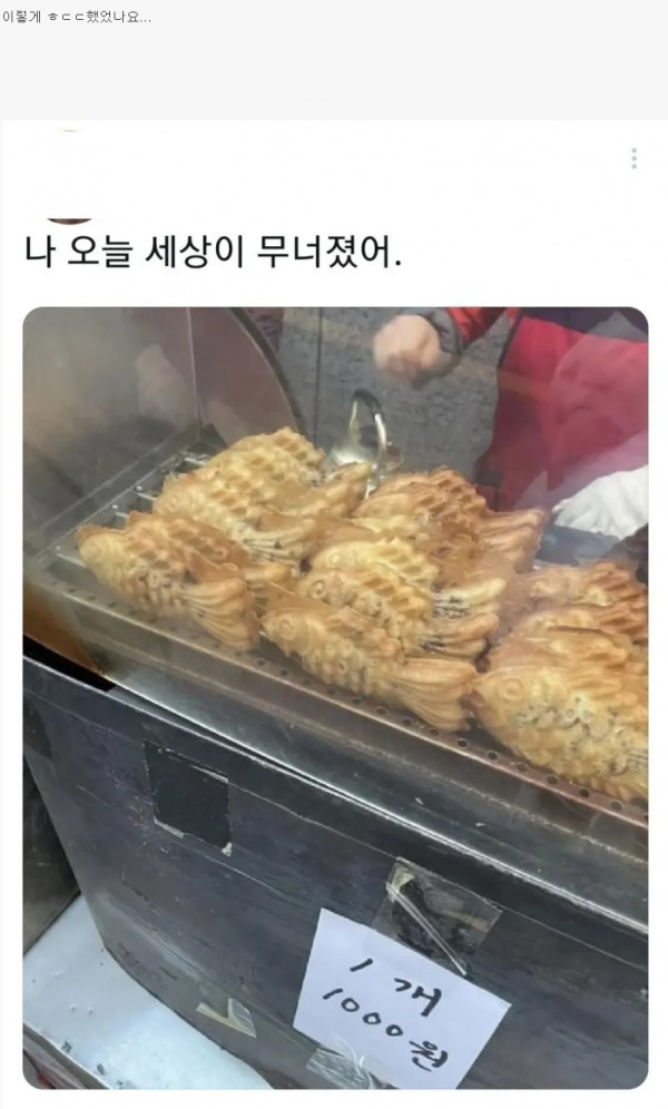 16974116555424.jpg
