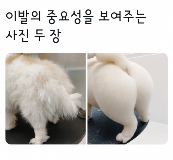 thumb-16975520986327_600x554 16975520986327.png