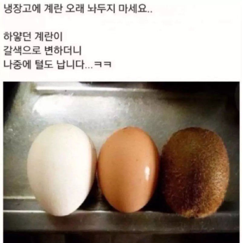 계란 오래 x.png